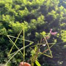 부경수산(주) 이미지