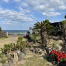 위드세화민박 | [제주 동부 숙소] 위드세화_바로 앞 세화해수욕장, 마음이 따뜻해지는 숙소