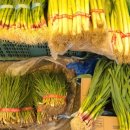 서석면복지회관목욕탕 이미지