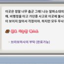 알파랜드