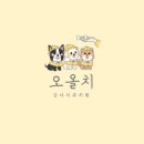 오올치 이미지