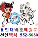 용인대 제일태권도 이미지