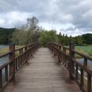 물미연꽃마을 이미지