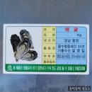 기룡수산 이미지