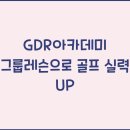 스윙GDR아카데미 이미지