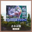 영주 소수서원 | 경북 영주 여행지 추천 세계문화유산 &lt;소수서원&gt; 관람 및 야생 뱀 사진 및 영상촬영