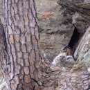 250424 김문수 안철수 한동훈 홍준표 2라운드 진출… 나경원 탈락 이미지