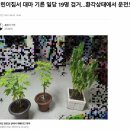 메이플유치원 이미지