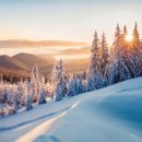 신당중앙정형외과의원 이미지