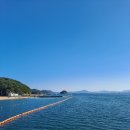 광암비취 네이버블로그