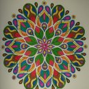 초민의원 이미지