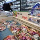 참치데이 이미지