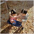 꽃과호수어린이집 이미지