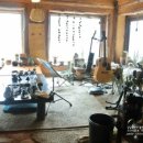 참나무쟁이 이미지