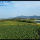 신포진료소 이미지