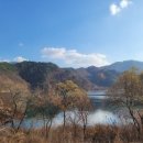 B,숲 이미지
