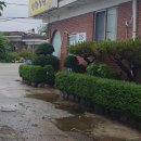 초록염소탕 | 충남 공주 맛집! 인정식당 (염소탕, 도가니탕, 삼계탕) 여름 보양식