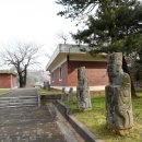충남개나리