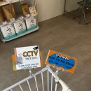 오븐앤도그 이미지