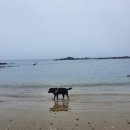 애들아범펜션 이미지