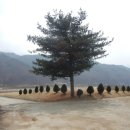 중평 이미지
