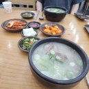 나포리건어물 | 갑자기 삼척여행 여름휴가 일기 (7/18-20)
