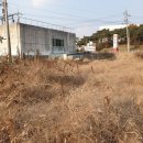 7번가푸드