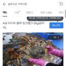정동수산 이미지
