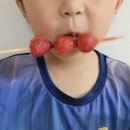 로얄탕 이미지