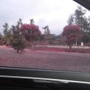 기분좋은펜션 이미지