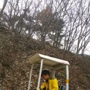 칠곡농장 Daum카페