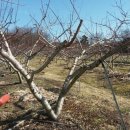 한별농장 이미지