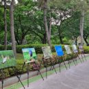 우포따오기 사진전 이미지