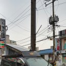 79소 이미지