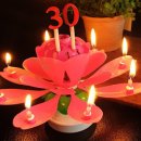 이큐컴퍼니 이미지