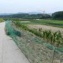 여주-1008 이미지