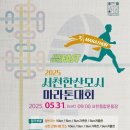 31 이미지