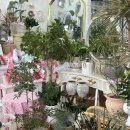 하트니플라워아트 이미지