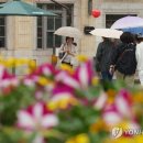 낮 이미지