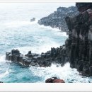 주상농장 이미지