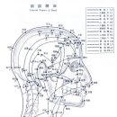 인체 전후 경락 도면 -수승화강 두한족열 음허화동 -건강하게삽시다 이미지