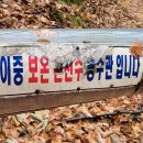 태백한우주물럭 이미지