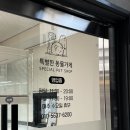 특별한 동물가게 이미지