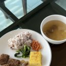 몽돌해물탕(대화점) | 내 나이 슴다섯 울릉도로 떠나다 : 울릉도 2일차 일기 | 둘째날 일정 공유 | 울릉도 맛집 | 카페 추천