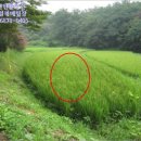수청1통 이미지