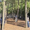 농업기술원 앞 이미지