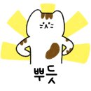 살롱드미뇽