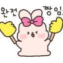 스튜디오괄호 이미지