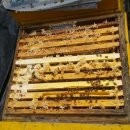 계상농장 이미지