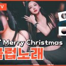 파티노래클럽 이미지